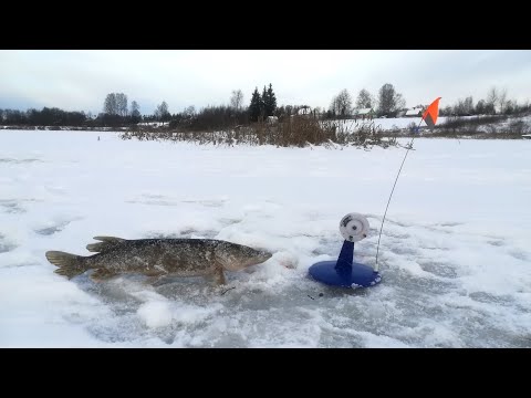 Видео: СЕЗОН ЗИМНЕЙ РЫБАЛКИ 2022-23 ОТКРЫТ.ЩУКА🦈 НА ЖЕРЛИЦЫ🚩 ПО ПЕРВОМУ ЛЬДУ 2022-2023.