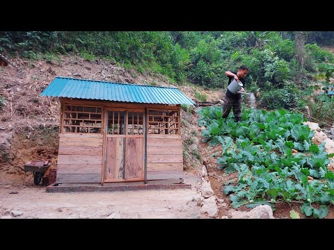 Видео: Постройте бревенчатый домик и сад в лесу. Выращивайте овощи, картофель - Запасайтесь едой на зиму