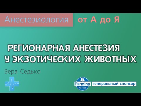 Видео: Регионарная анестезия у экзотических животных