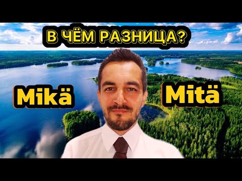Видео: Разница между Mikä и Mitä.
