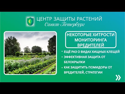 Видео: Некоторые хитрости мониторинга вредителей