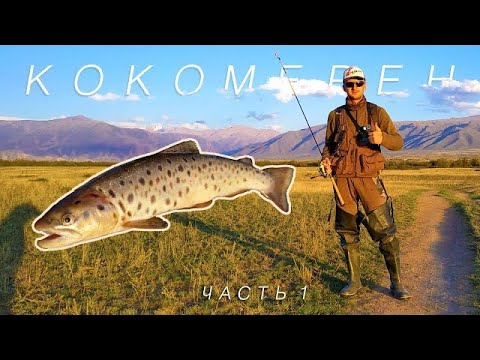Видео: Рыбалка на дикую форель.  Кокомерен. Сусамыр.