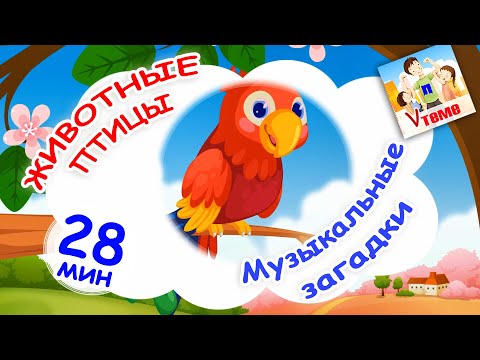 Видео: ЖИВОТНЫЕ и ПТИЦЫ. Музыкальные загадки для малышей. Папа v теме