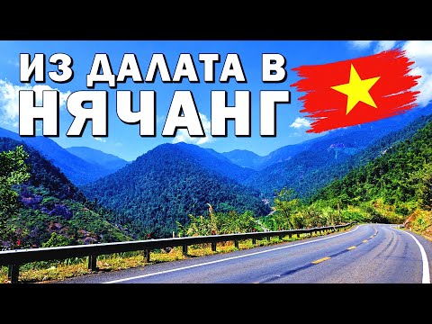 Видео: Дорога в Нячанг. Прогулка, Цены, Кафе.#вьетнам #нячанг #вьетнам2024 #нячанг2024