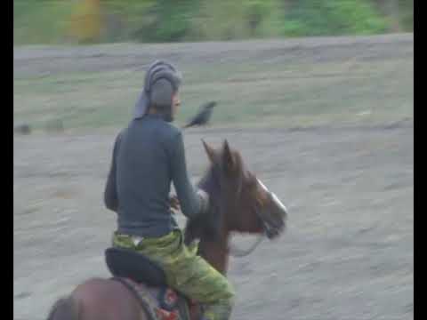 Видео: кисми 4