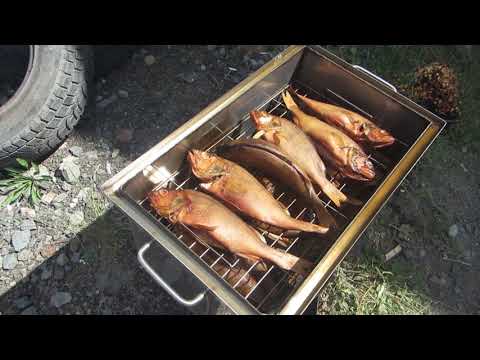 Видео: КОПТИЛЬНЯ ГОРЯЧЕГО КОПЧЕНИЯ С ГИДРОЗАТВОРОМ. Тестируем