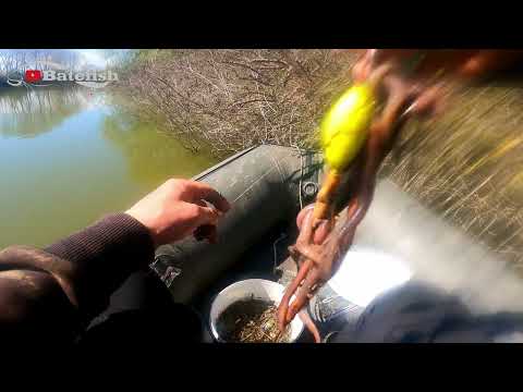 Видео: Стартирахме успешно новия сезон.