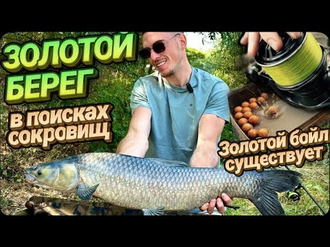 Видео: ЗОЛОТОЙ БЕРЕГ в поисках сокровищ!!! КАРПФИШИНГ