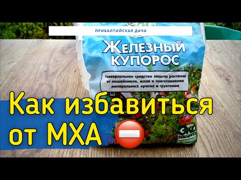 Видео: Как избавиться от Мха и Лишайников. Железный Купорос