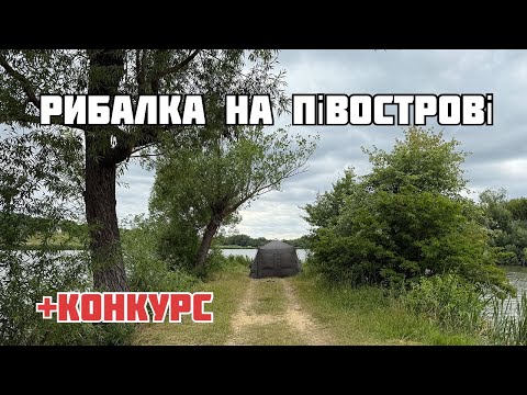 Видео: РИБАЛКА на СТАВКУ  з НОЧІВЛЕЮ .У пошуках ТРОЙЕЙНОГО КОРОПА + КОНКУРС