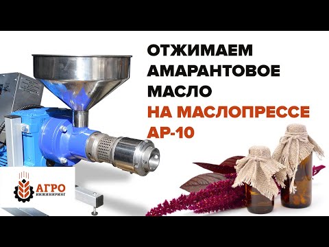 Видео: Амарантовое масло. Отжимаем семена амаранта на маслопрессе AP-10.