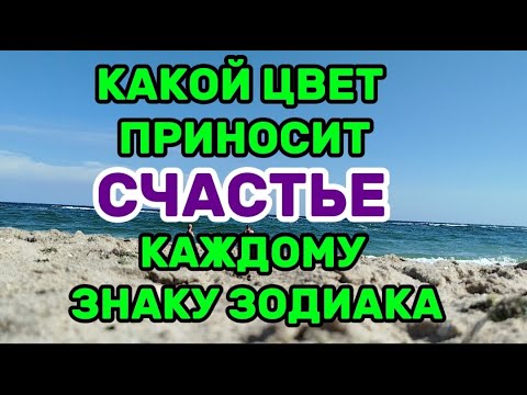 Видео: Какой цвет приносит счастье каждому знаку зодиака