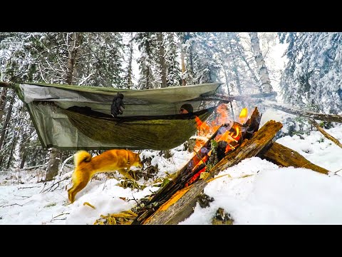 Видео: ГАМАК VS ПАЛАТКА ЗИМОЙ! Кто ПОБЕДИТ? Что ЛУЧШЕ?