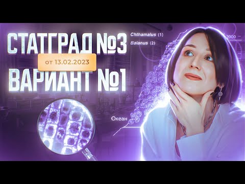 Видео: Разбор нового варианта СТАТГРАД от 13.02.2023 | Вариант 1 | ЕГЭ-2025 по биологии