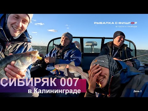 Видео: Сибиряк 007 в Калининграде. День 2 ой.