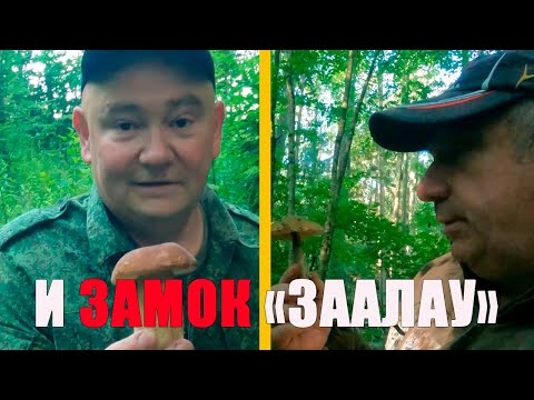 Видео: За грибами к замку "ЗААЛАУ"