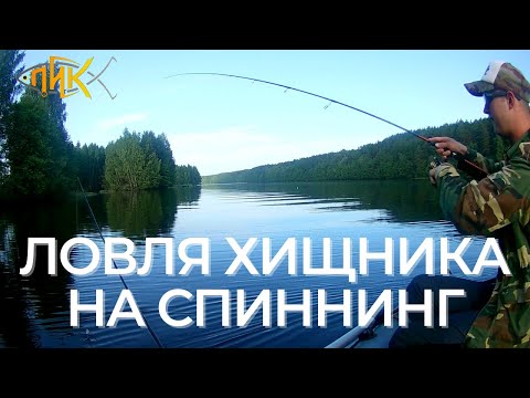 Видео: Искали щуку и судака, а поймали ЕГО! Рыбалка в Разнежье (Часть 2)
