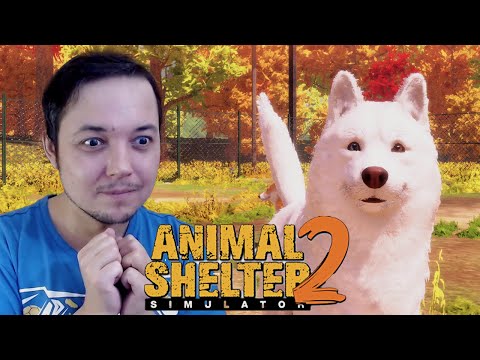 Видео: ОТКРЫЛ ПРИЮТ ДЛЯ ЖИВОТНЫХ ● Animal Shelter 2