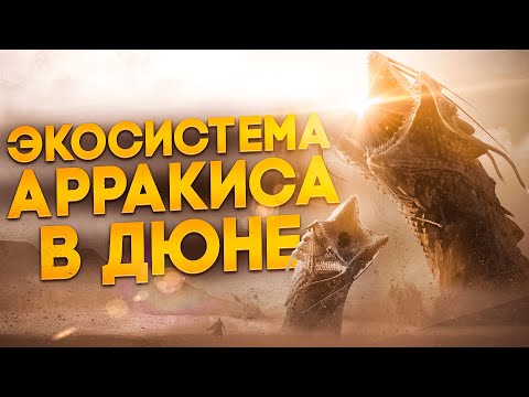 Видео: Насколько правдоподобен червь из Дюны