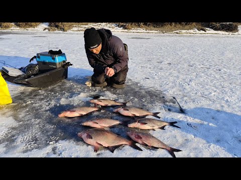 Видео: ПОПАВ НА КЛЬОВ КРУПНЯКА ПО ОСТАННІЙ КРИЗІ. Зимова рибалка на ляща