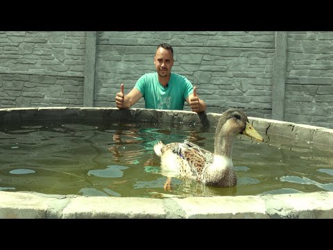 Видео: Найкращі варіанти як збудувати ємність для поливу