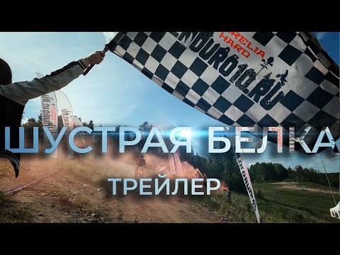 Видео: Гонка шустрая белка. Трейлер к фильму