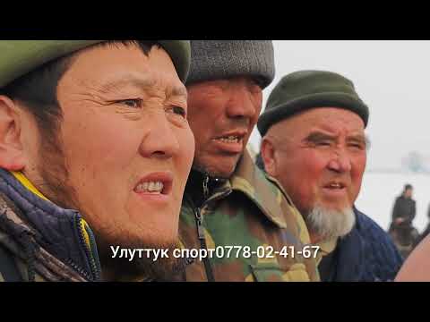 Видео: Курстанбек ажынын улагы башталды