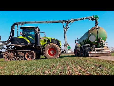 Видео: Подкормка озимой пшеницы 2025 г. Трактор CLAAS AXION 960.