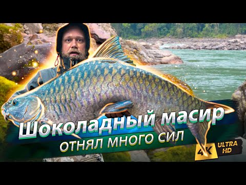 Видео: 🇮🇳 Гималайский хищный карп - масир. Рыбалка и сплав в Индии, в запретном штате Аруначал-Прадеш
