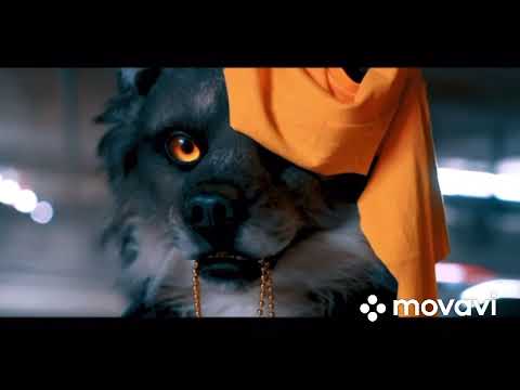 Видео: MOVAVI - Услышит весь район… Фурри (ПРЕМЬЕРА КЛИПА 2023) ⭐️