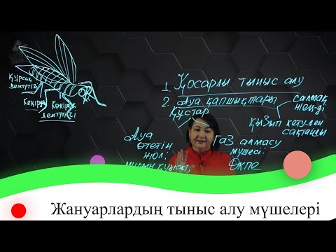 Видео: Жануарлардың тыныс алу мүшелері. 7 сынып.