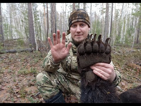 Видео: ОТ ПРИВАДЫ ДО ТРОФЕЯ. Вся охота на медведя в одном фильме.