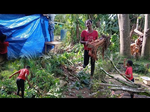 Видео: ВОТ ЧТО УРАГАН 🌀 МЕЛИССА ДЕЛАЕТ В МОЕМ ДВОРЕ / ДОМЕ И ФЕРМЕ