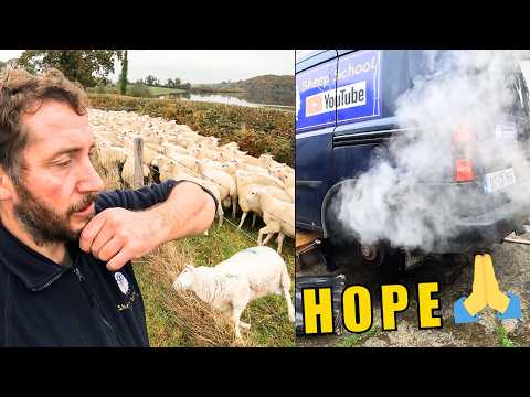 Видео: Фермерство: больное, усталое и сломанное