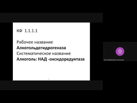 Видео: БХ_СпасенковаОМ_4