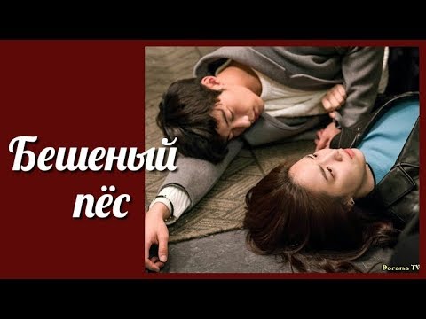Видео: Бешеный пес 💜 Mad dog клип с отрывком