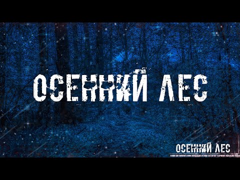 Видео: ОСЕННИЙ ЛЕС! Страшные Истории На Ночь