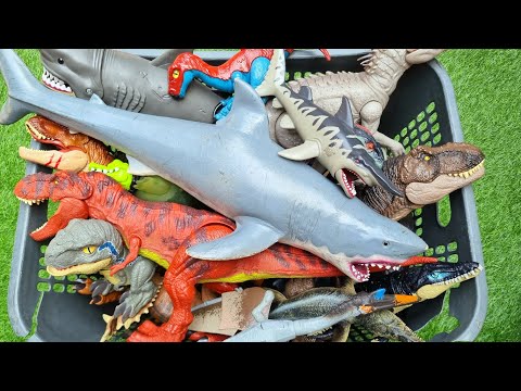 Видео: Охота на акул-монстров, тираннозавра, гиганотозавра, мозазавра и других