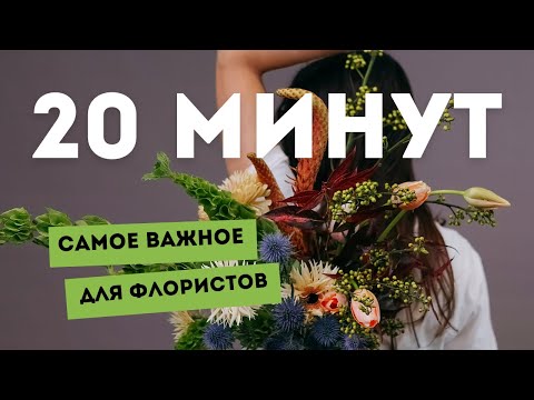 Видео: УРОК | Группировка, рыхлость и разновысотность за 20 минут | MFS TV