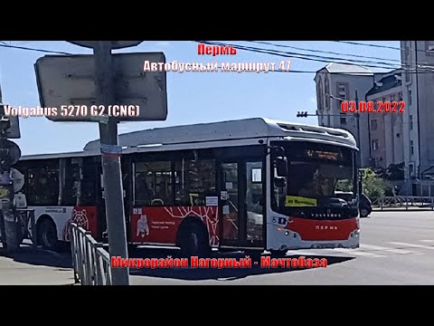 Видео: Пермь | Автобусный маршрут 47 | Volgabus 5270 G2 (CNG) | М/р Нагорный - Мачтобаза | 03.08.2022