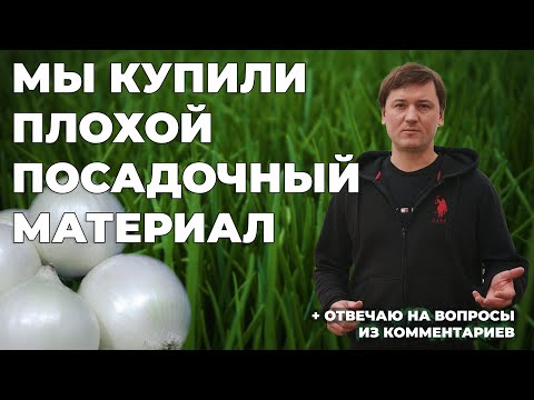 Видео: Сезон зеленого лука в разгаре. Купили некачественный посадочный материал. Отвечаю на ваши вопросы