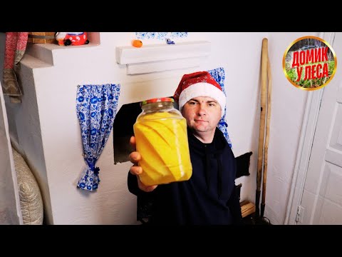 Видео: ЖИЗНЬ СЕМЬИ В ДОМИКЕ У ЛЕСА | Белорусская деревня