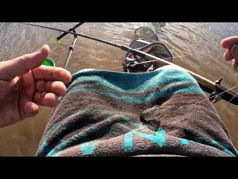 Видео: Риболов на фидер с кошничка на язовир Искър - Шипока 07.04.2024 г