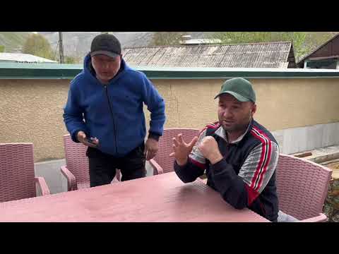 Видео: Можно ли поднимать пискунов со взрослыми голубями 🕊️?[ черноносых голубей ]