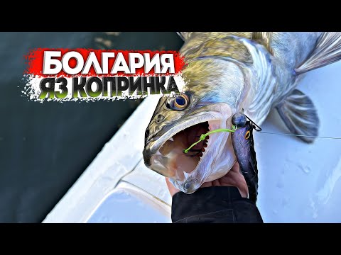 Видео: Яз Копринка- Самое рыбное водохранилище Болгарии