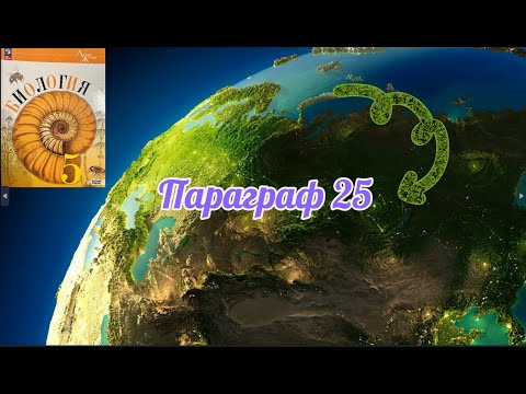 Видео: Биология 5 кл(2023 г.) 25 Параграф "Животный и растительный мир природных зон" аудио (Пасечник)