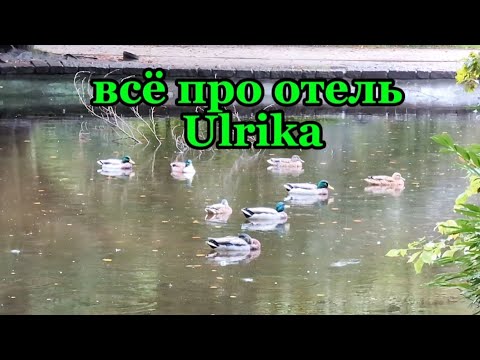 Видео: с Германии в Чехию / отель Ulrika / Карловы Вары