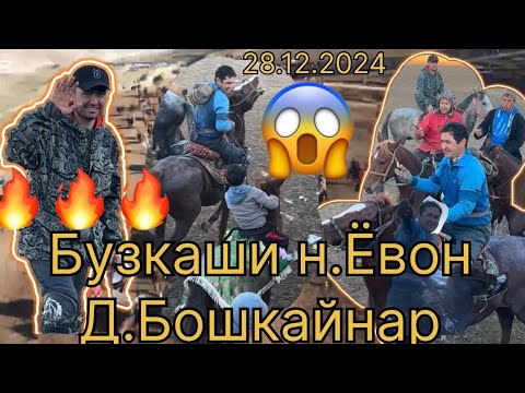 Видео: БУЗКАШИ н.Ёвон д.Бошкайнар 28.12.2024 #бузкаши #купкари #улок #laqaynews