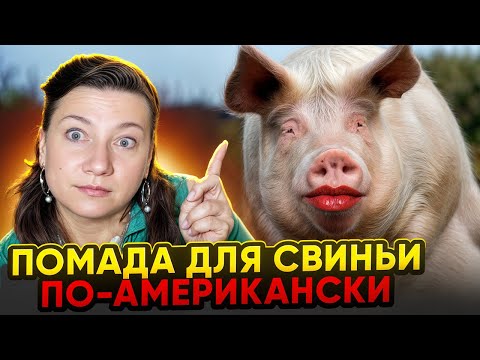 Видео: ПЫЛЬ В ГЛАЗА ПО-АМЕРИКАНСКИ  ИЩЕМ ДОМИК ЗА 160-170000 С РЕМОНТОМ