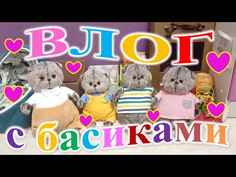 Видео: Влог с басиками.